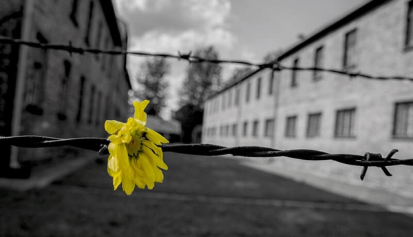 Il Giorno della Memoria. 27 Gennaio 1945/2020